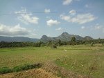 A view from Kanjikode - Malampuzha Road